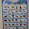Talking Wall Chart for Numbers, Alphabet and Animals - Image 2