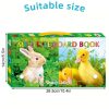 My Little Board Book – 6-Piece Early Learning Set - Image 4